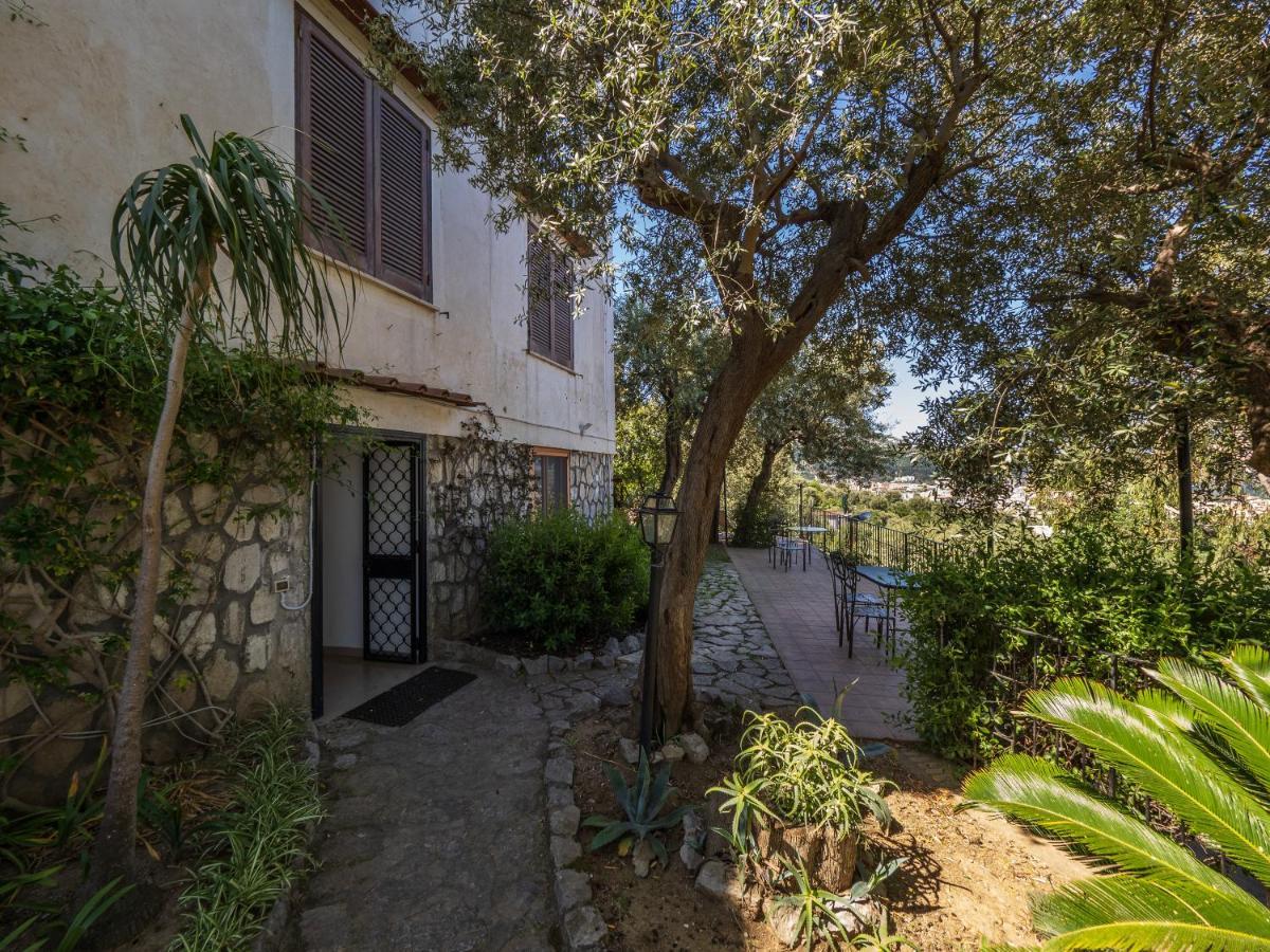 Ulivi Apt * Península Sorrentina